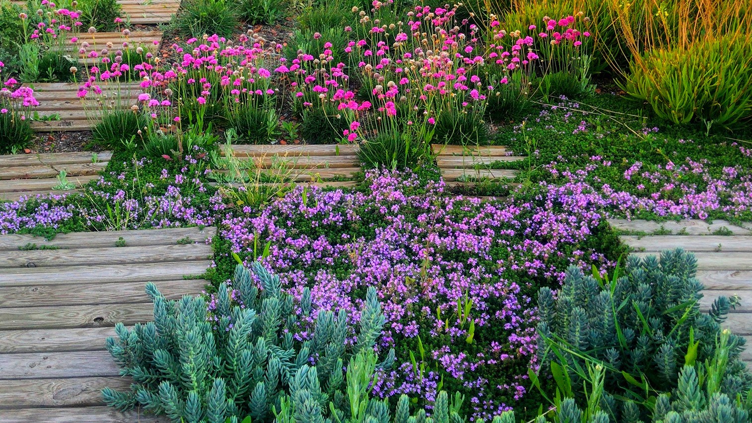 projar cubierta-ajardinada-semi-intensiva-1